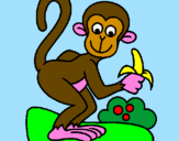 Disegno Scimmietta  pitturato su salvio