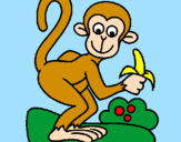 Disegno Scimmietta  pitturato su maria