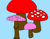 Disegno Funghi pitturato su tempo piovoso!