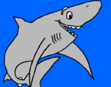 Disegno Squalo allegro  pitturato su squalo