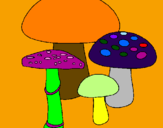 Disegno Funghi pitturato su lorencinho