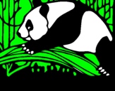 Disegno Oso panda che mangia  pitturato su Alex 6 anni