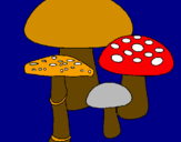 Disegno Funghi pitturato su antonio