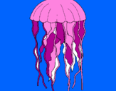 Disegno Medusa  pitturato su sofiaastrid
