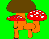 Disegno Funghi pitturato su camilla