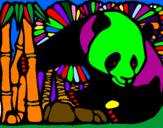 Disegno Orso panda con bambù  pitturato su CHIARA