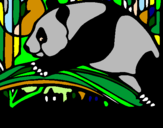 Disegno Oso panda che mangia  pitturato su SERGIO
