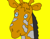 Disegno Muso di giraffa pitturato su miriam
