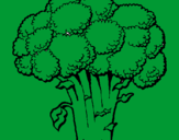 Disegno Broccoli  pitturato su giorgiacarji