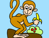 Disegno Scimmietta  pitturato su caterina