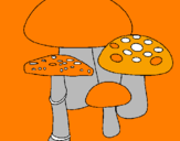 Disegno Funghi pitturato su laura