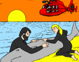 Disegno Salvataggio di una balena pitturato su CARMELO