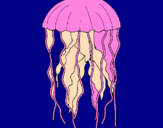 Disegno Medusa  pitturato su titti