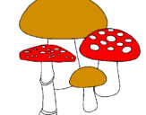 Disegno Funghi pitturato su Emanuele