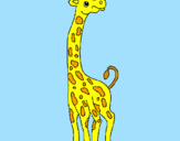 Disegno Giraffa  pitturato su Nicola