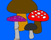 Disegno Funghi pitturato su simona