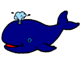 Disegno Balena che spruzza  pitturato su giulia bi