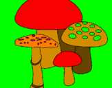 Disegno Funghi pitturato su bruna