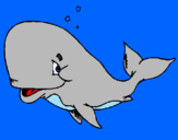 Disegno Balena timida  pitturato su ciao a tutti