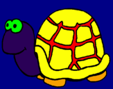 Disegno Tartaruga  pitturato su davide