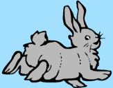 Disegno Coniglio contento  pitturato su stefano