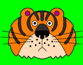 Disegno Tigre III pitturato su vito