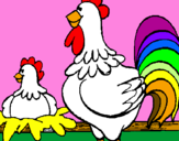 Disegno Gallo e gallina  pitturato su emma