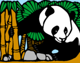 Disegno Orso panda con bambù  pitturato su giulia