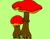 Disegno Funghi pitturato su Marta