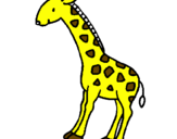 Disegno Giraffa  pitturato su ale