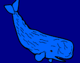 Disegno Balena enorme  pitturato su lorenzo caravaggi