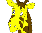 Disegno Muso di giraffa pitturato su tommaso mastinu
