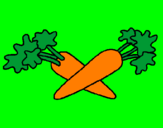 Disegno carote  pitturato su samantha