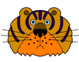 Disegno Tigre III pitturato su annalaura