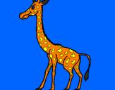 Disegno Giraffa  pitturato su DEMETRIO E  GIUSEPPE
