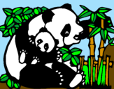 Disegno Mamma panda  pitturato su alessio