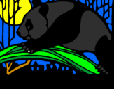 Disegno Oso panda che mangia  pitturato su christian