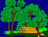 Disegno Bosco  pitturato su il  bosco  incantato