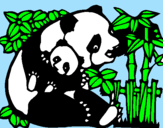 Disegno Mamma panda  pitturato su bianca