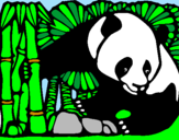 Disegno Orso panda con bambù  pitturato su bianca