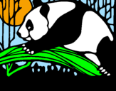 Disegno Oso panda che mangia  pitturato su bianca
