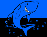 Disegno Squalo pitturato su squalo bianco