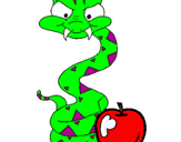 Disegno Serpente con la mela  pitturato su Mostapha Oulidi o Iman