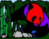 Disegno Orso panda con bambù  pitturato su ALICE