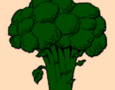 Disegno Broccoli  pitturato su marga