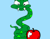 Disegno Serpente con la mela  pitturato su chiara
