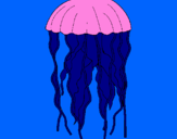 Disegno Medusa  pitturato su Adriana