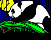 Disegno Oso panda che mangia  pitturato su michela