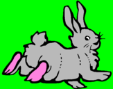 Disegno Coniglio contento  pitturato su nela fatoria