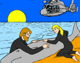 Disegno Salvataggio di una balena pitturato su lisa